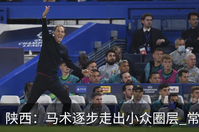 陕西：马术逐步走出小众圈层 常年参训人数达数千人